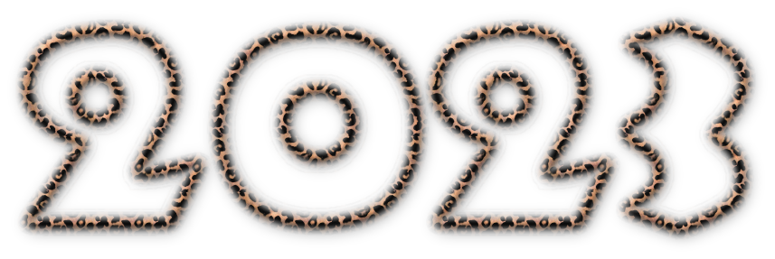 2023 Text Transparent PNG Image