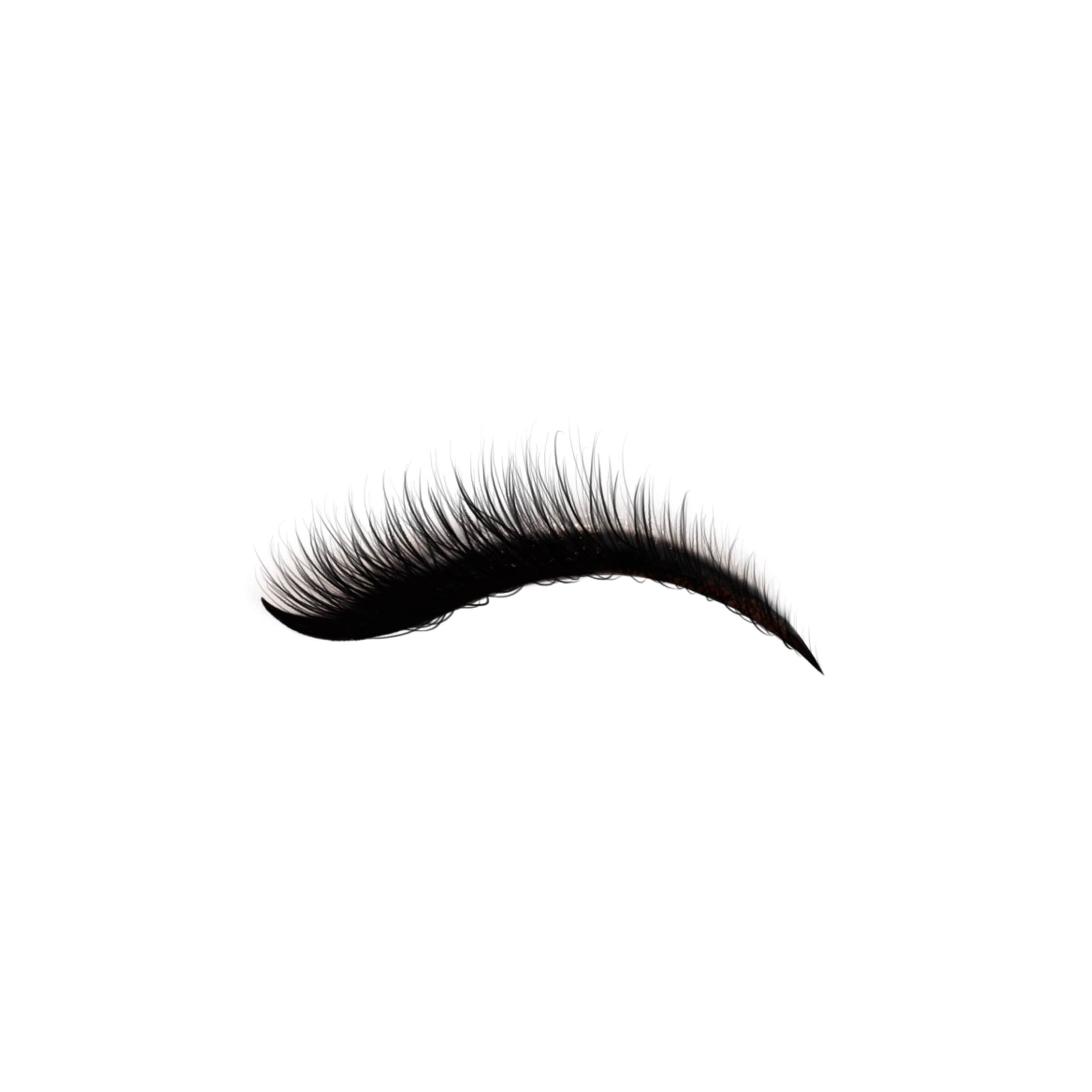 Eyeliner Transparent PNG Image