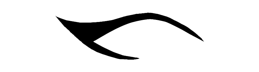 Eyeliner Transparent PNG Image