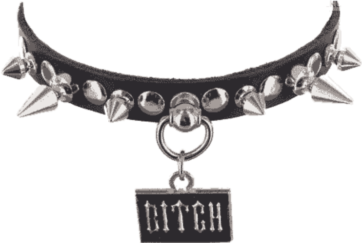 Necklace Choker Transparent PNG Image