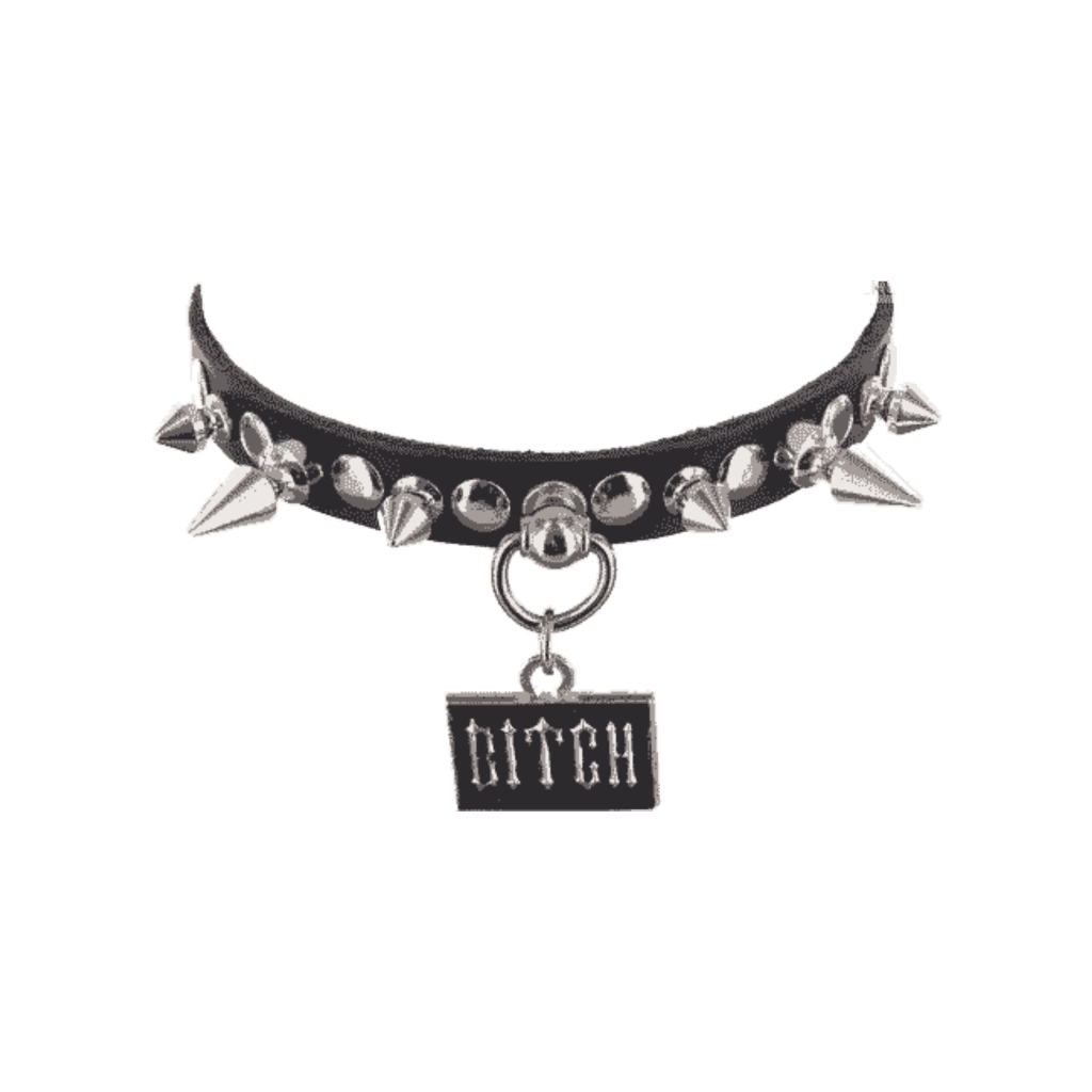 Necklace Choker Transparent PNG Image
