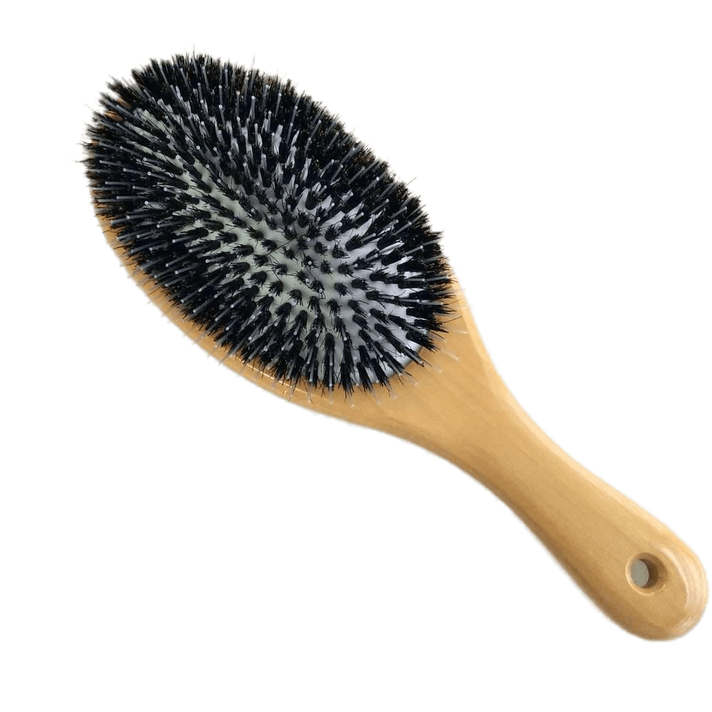 Hair Ladies Brush Transparent PNG Image