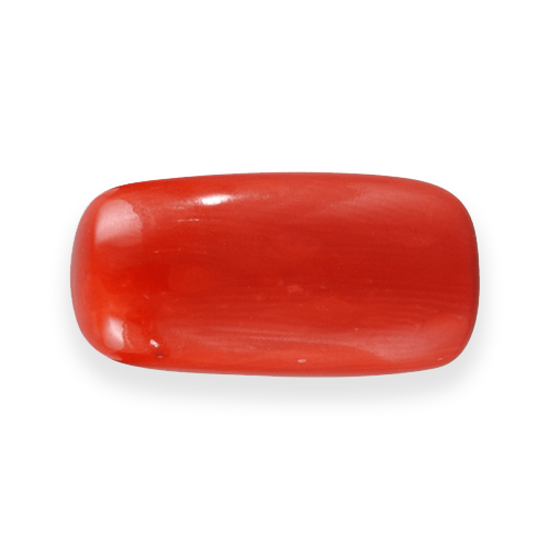 Coral Gem Red File Transparent PNG Image