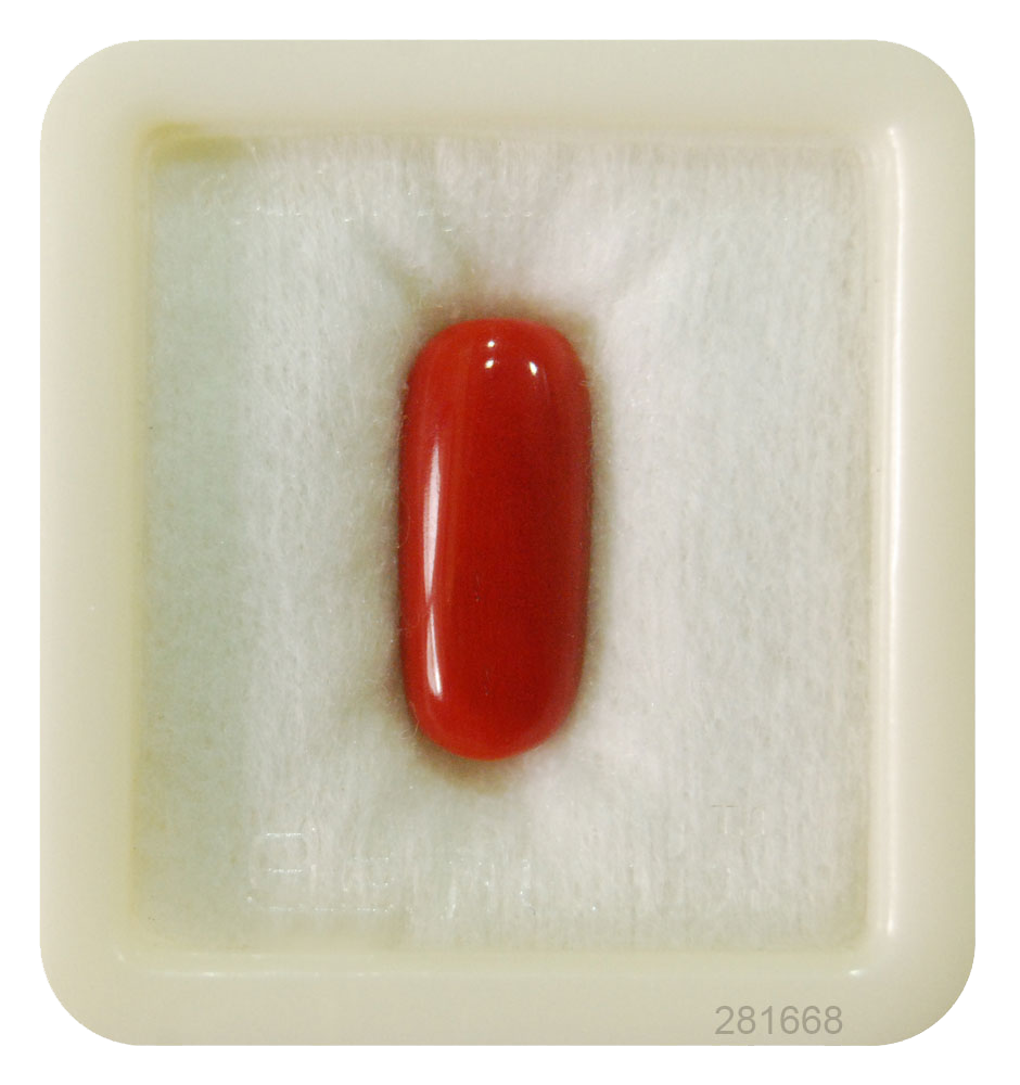 Coral Gem Red Transparent PNG Image