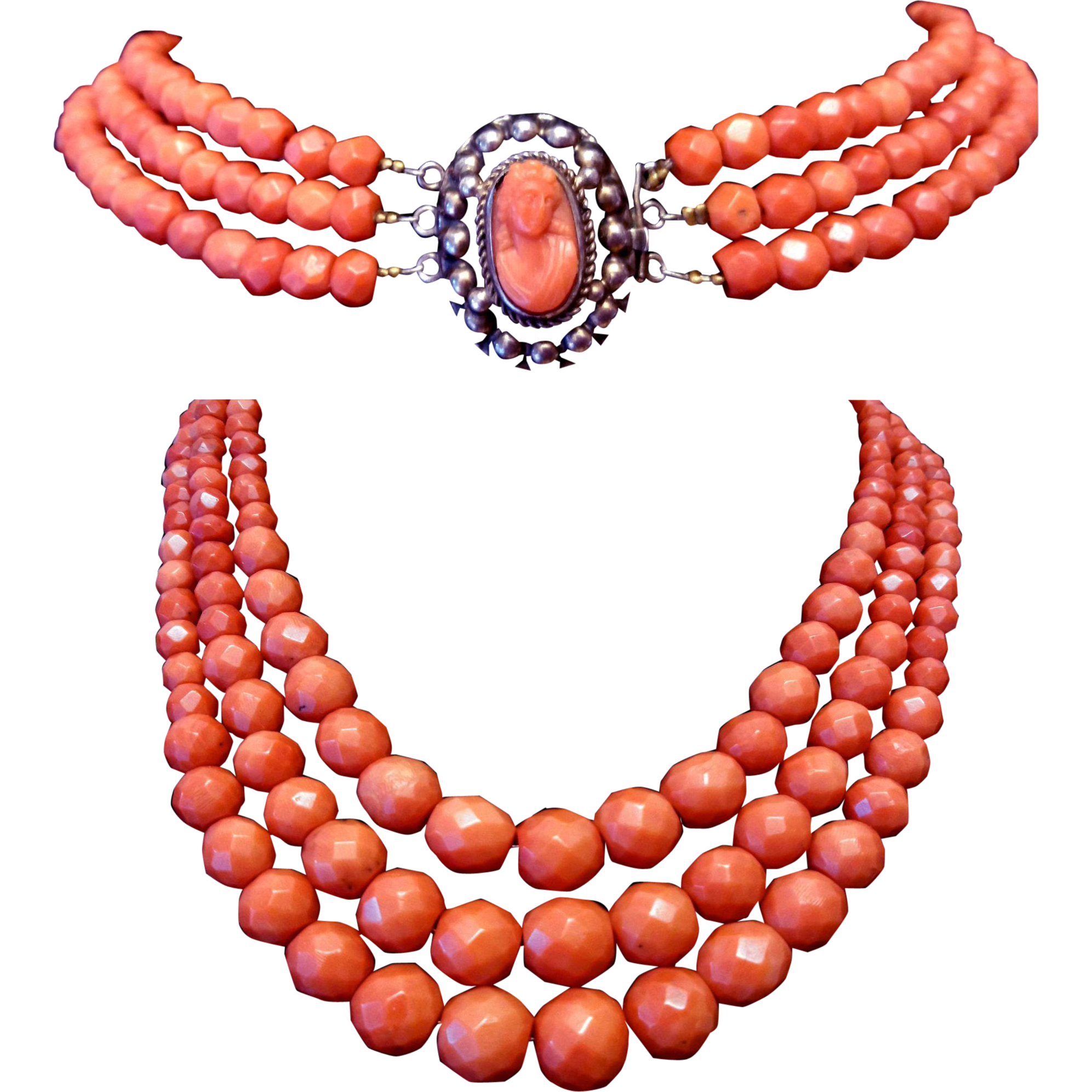 Coral Jewellery Red Transparent PNG Image