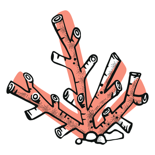 Coral Red Transparent PNG Image