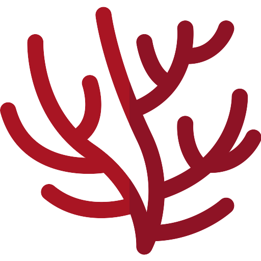 Coral Red Transparent PNG Image