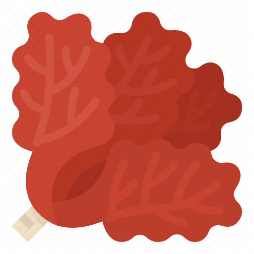 Precious Coral Red Transparent PNG Image