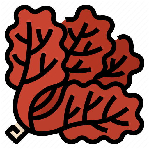 Precious Coral Red Transparent PNG Image