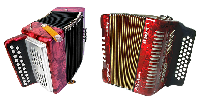 Red Accordion Transparent PNG Image