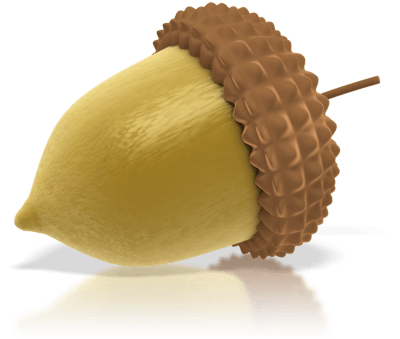 Acorn Acorns Transparent PNG Image