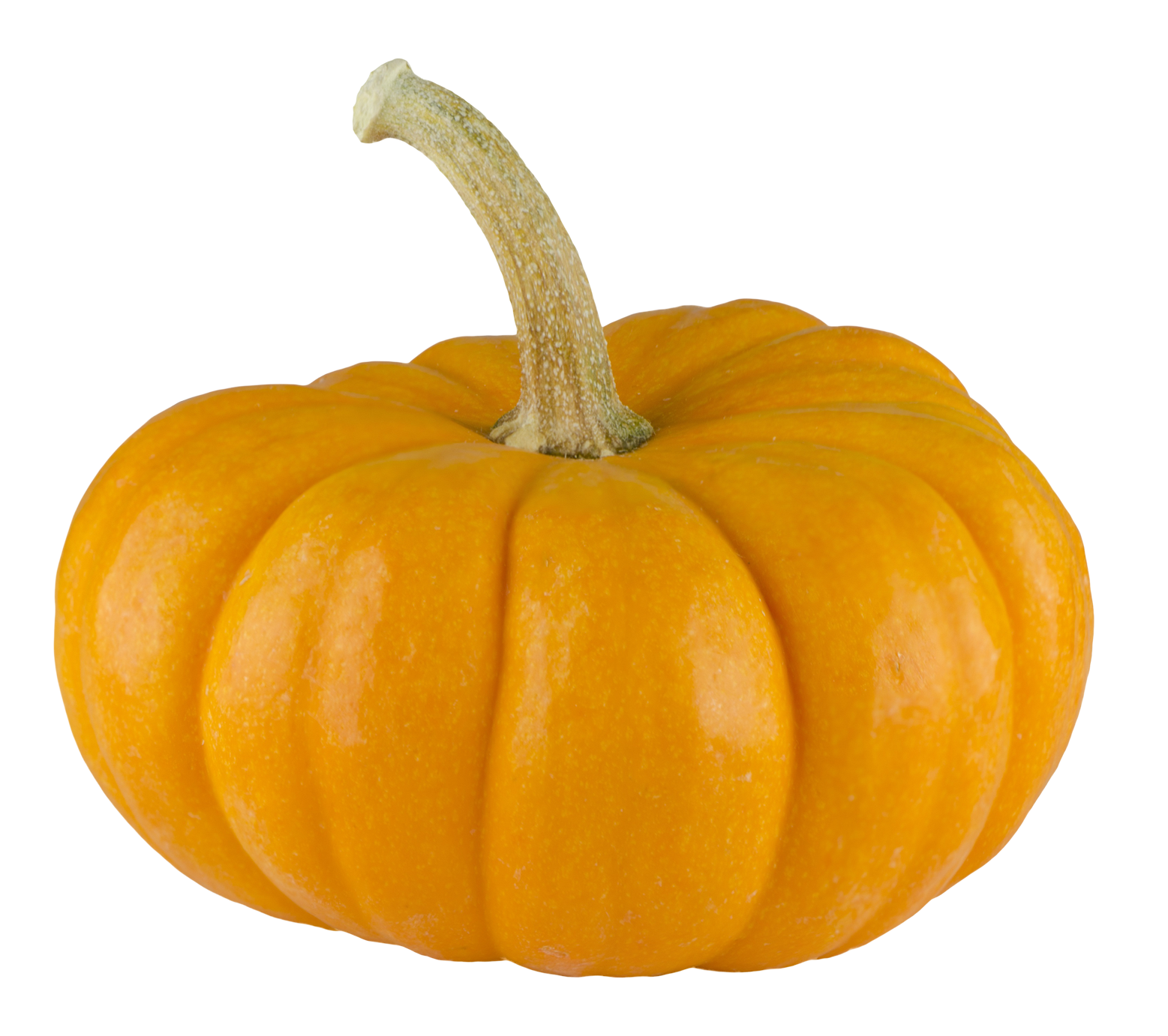 Squash Acorn Transparent PNG Image