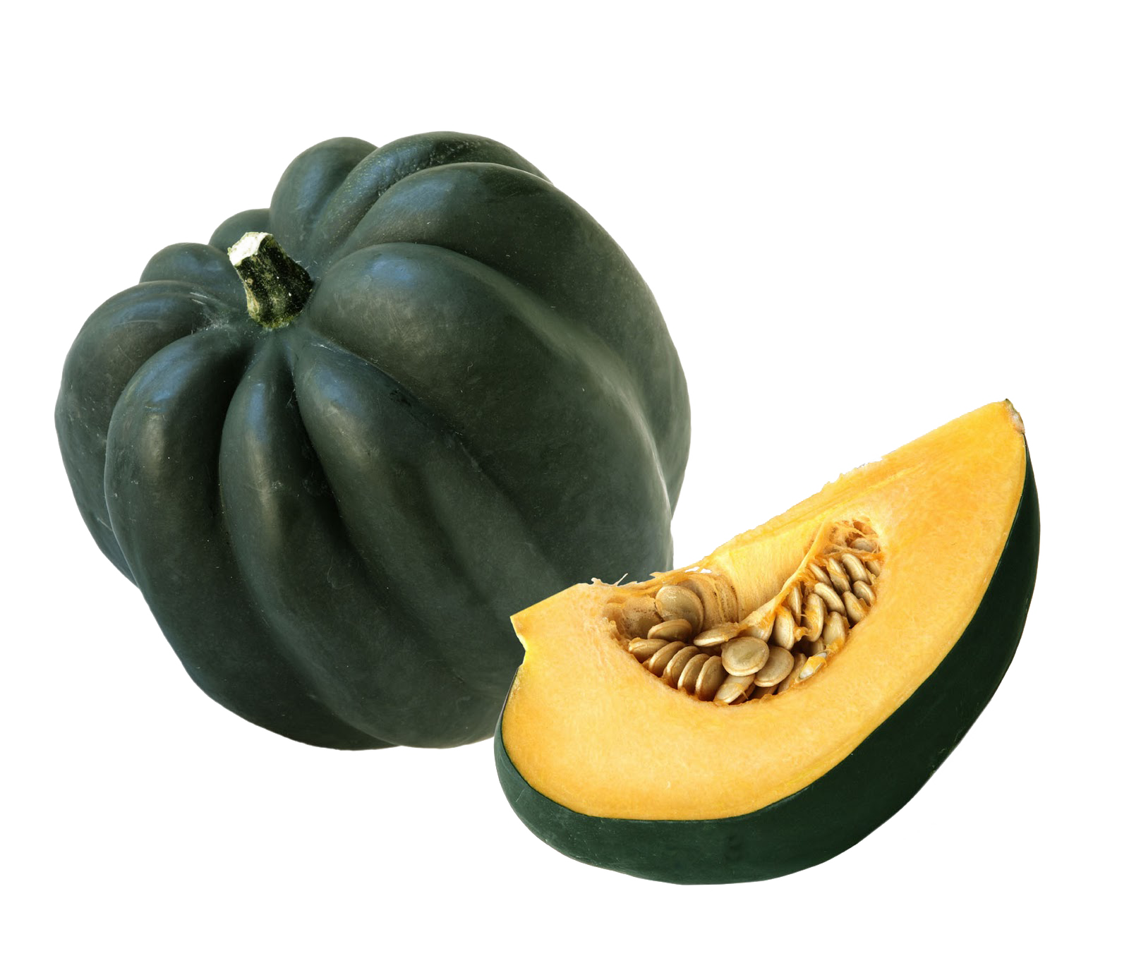 Squash Acorn Transparent PNG Image
