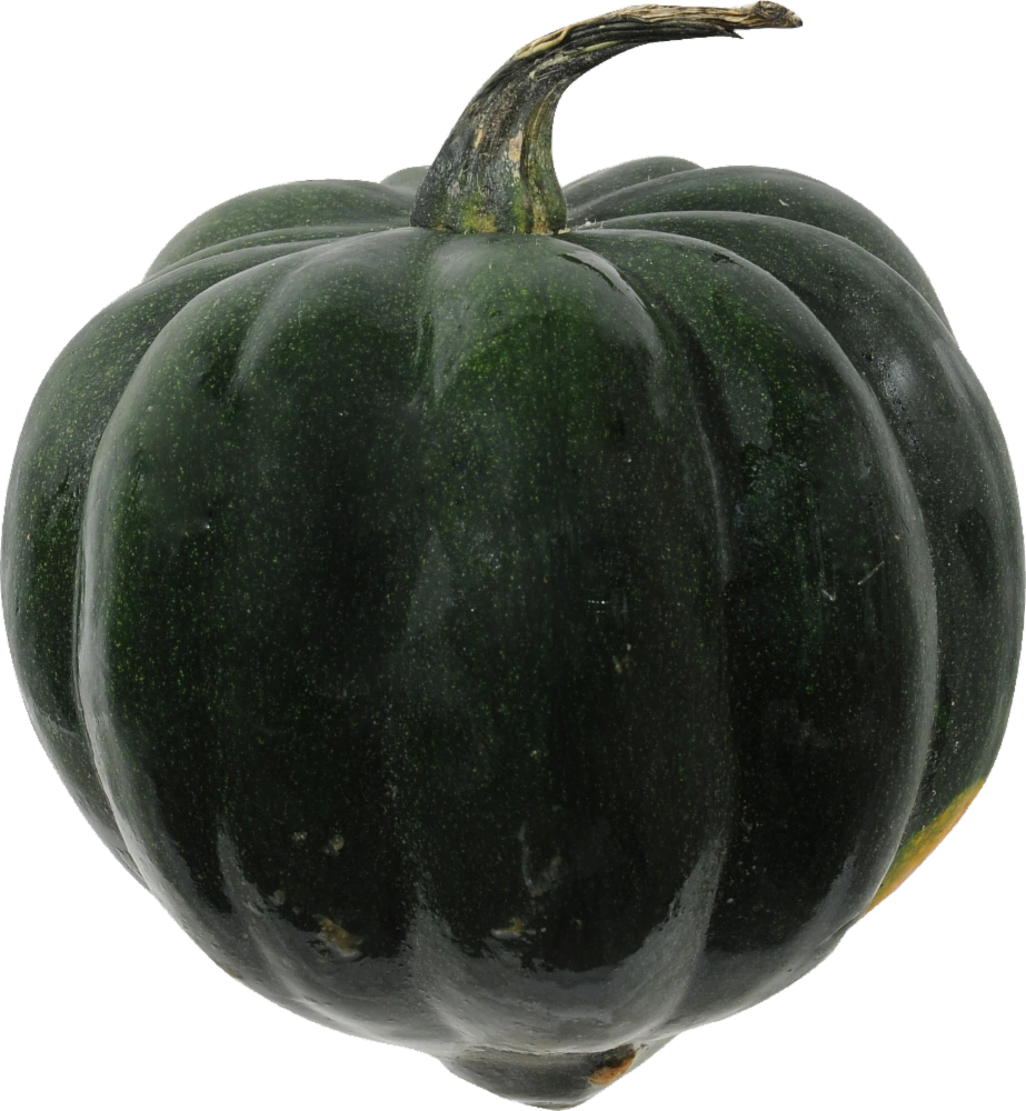 Squash Acorn Transparent PNG Image