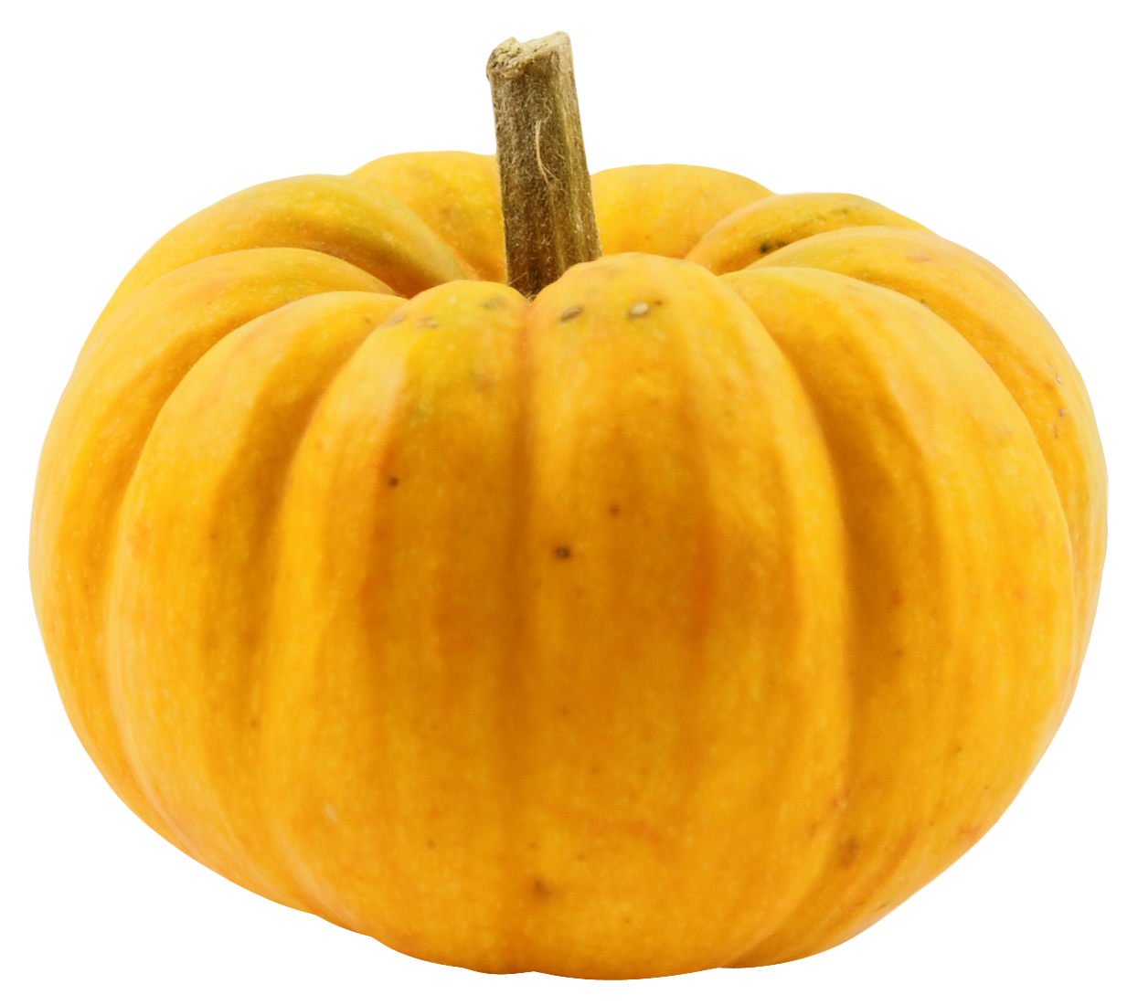 Squash Acorn Transparent PNG Image