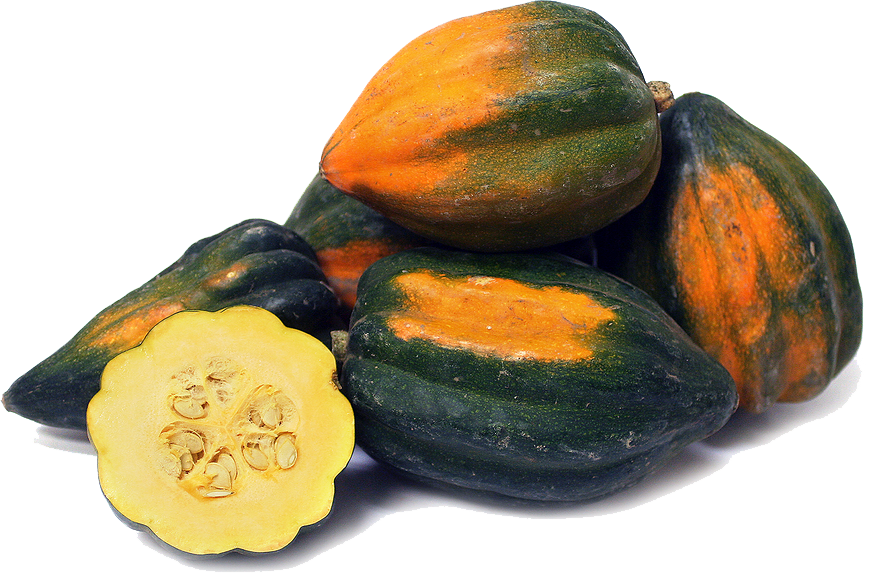 Squash Acorn Transparent PNG Image