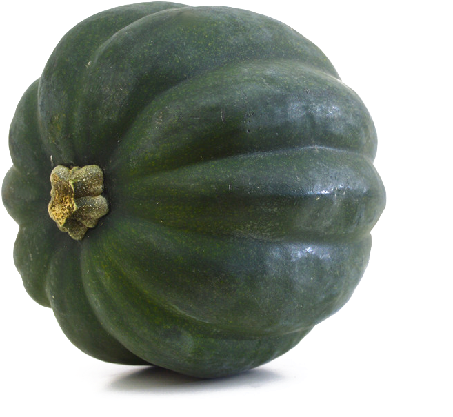 Squash Acorn Transparent PNG Image