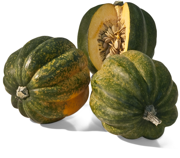 Squash Acorn Transparent PNG Image