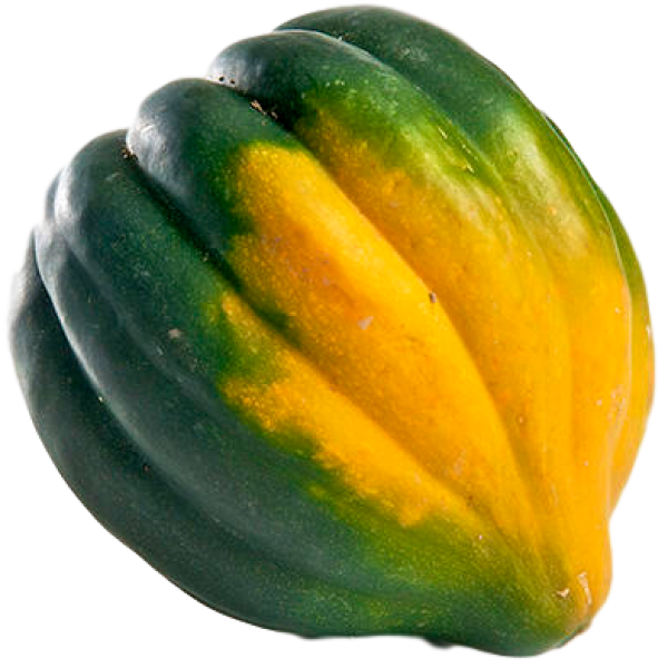 Squash Acorn Transparent PNG Image