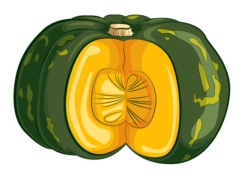 Squash Acorn Transparent PNG Image
