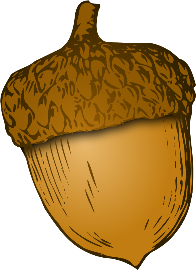 Acorn Transparent PNG Image