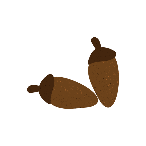 Acorn Transparent PNG Image