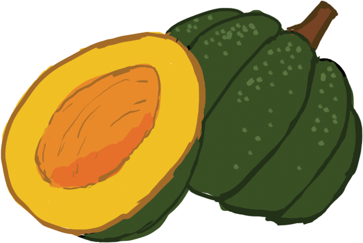 Acorn Ripe Squash Transparent PNG Image