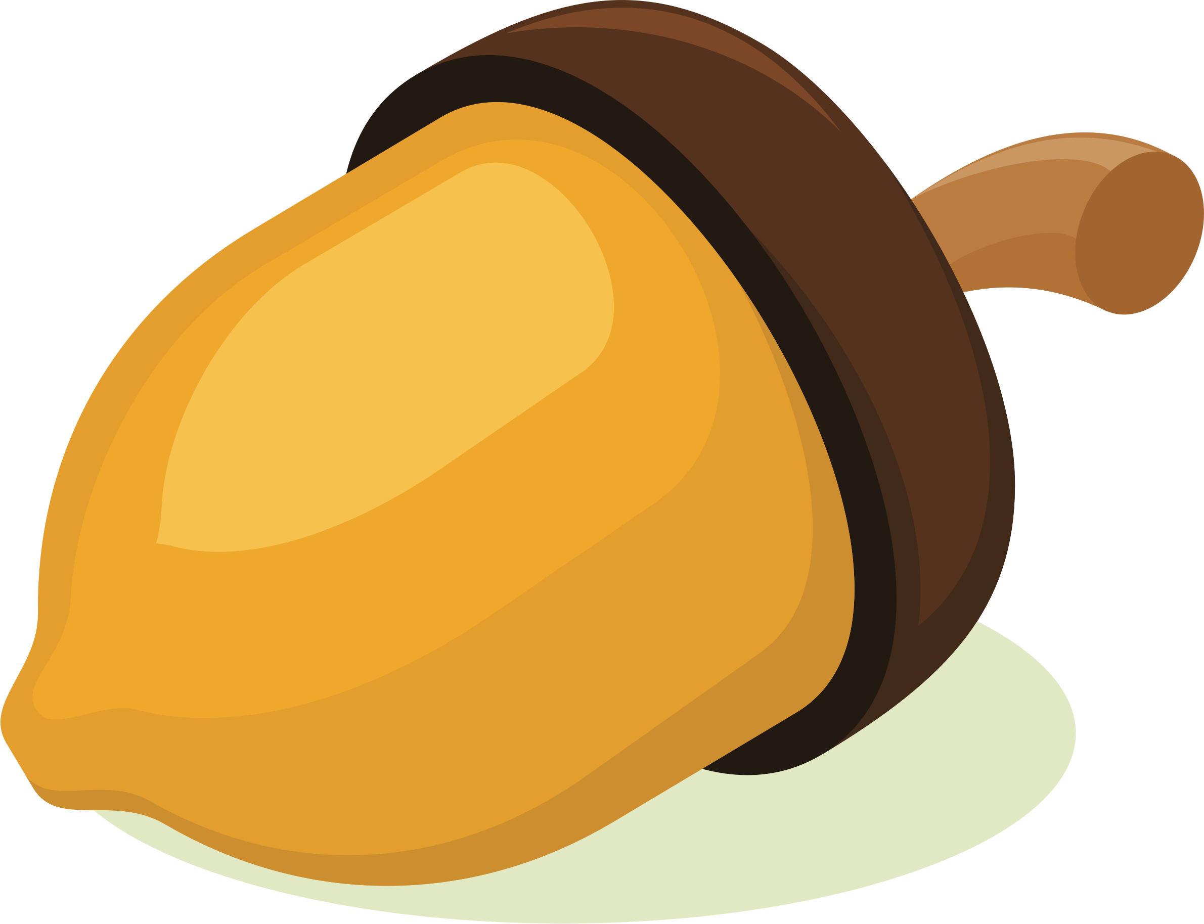 Vector Acorn Transparent PNG Image
