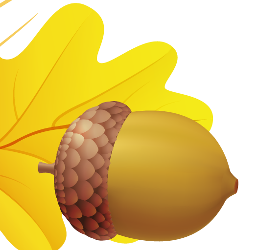 Vector Acorn Transparent PNG Image