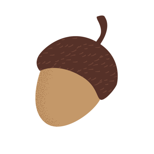 Acorn Transparent PNG Image