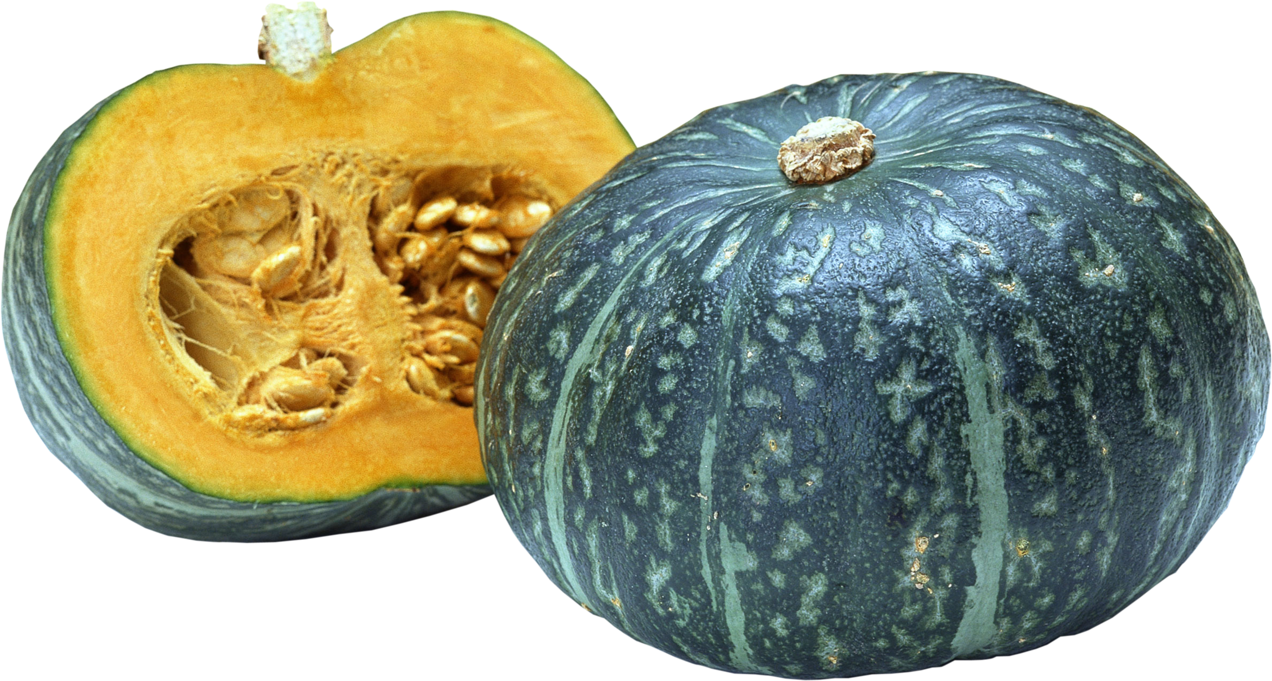 Squash Acorn Transparent PNG Image