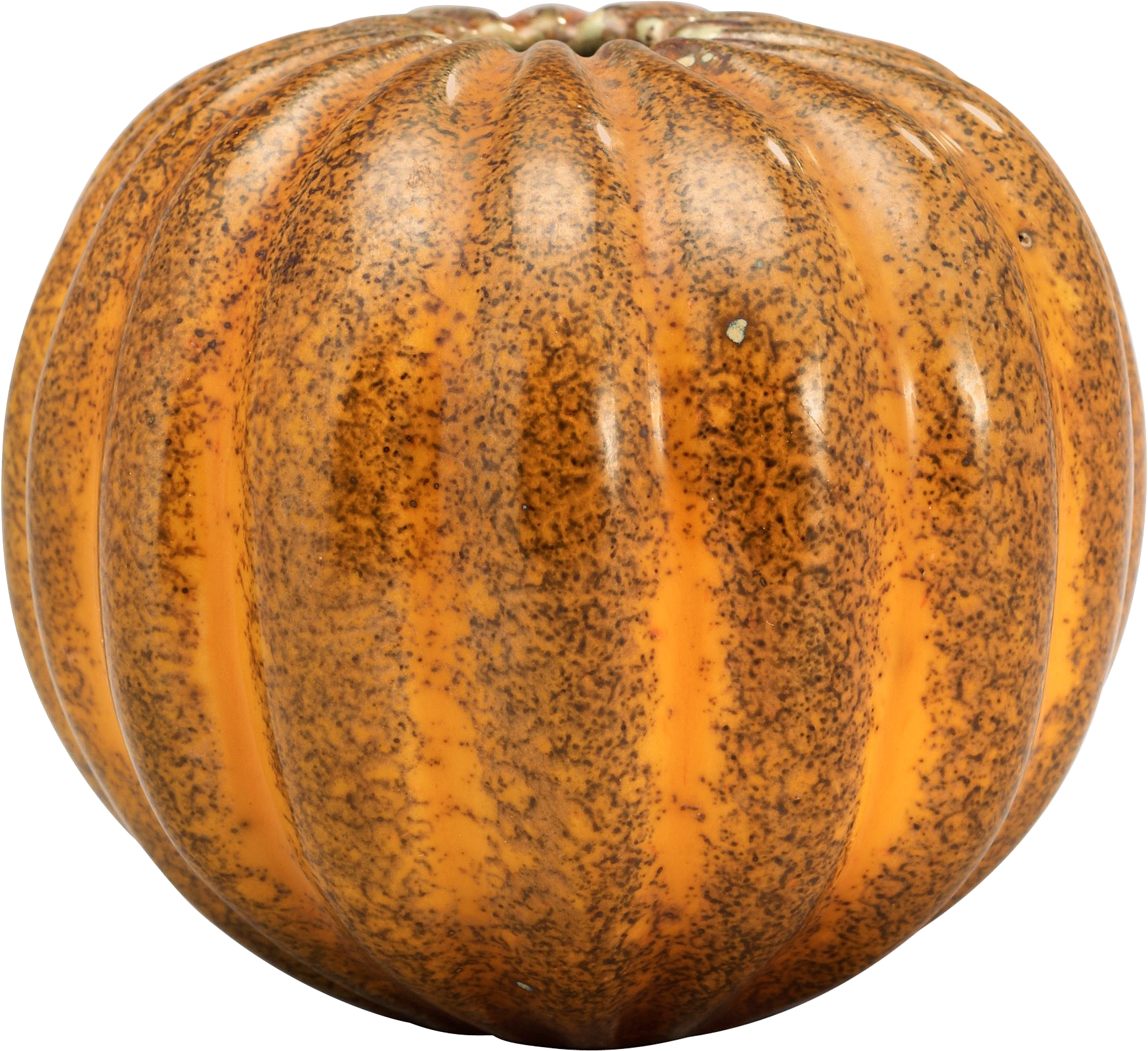 Squash Acorn Transparent PNG Image