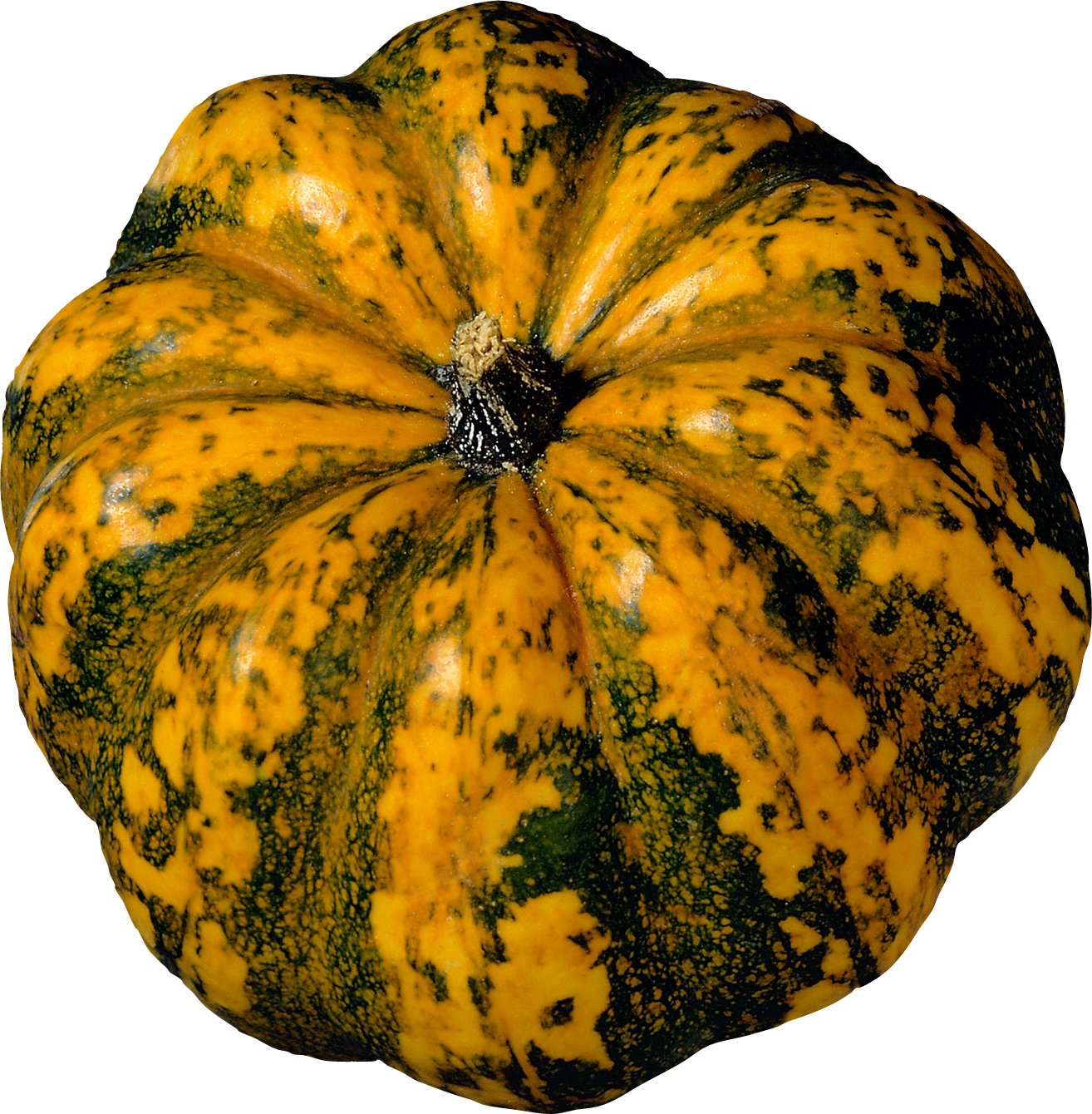 Squash Acorn Transparent PNG Image