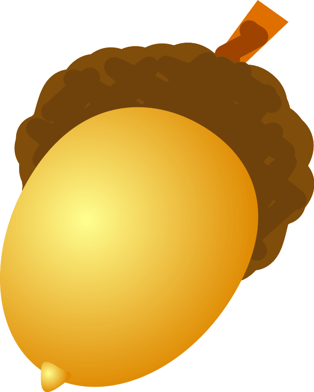 Acorn Acorns Transparent PNG Image
