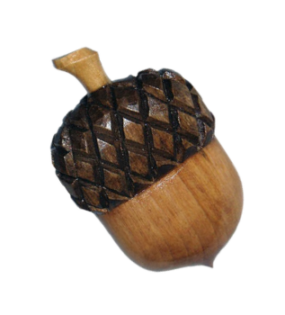 Acorn 4 Transparent PNG Image