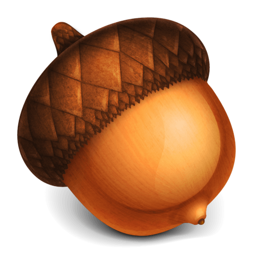 Acorn Acorns Transparent PNG Image