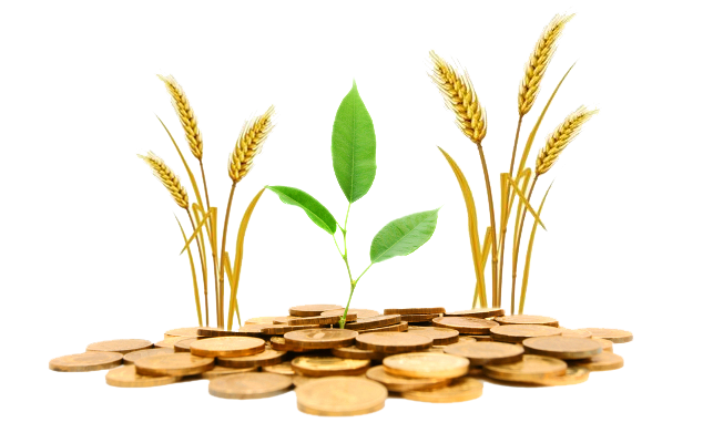 Agriculture Transparent PNG Image