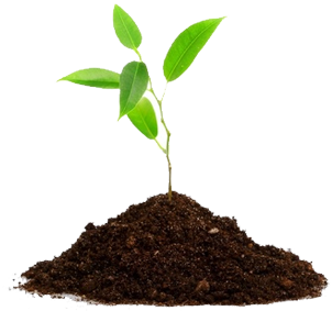 Agriculture Transparent PNG Image