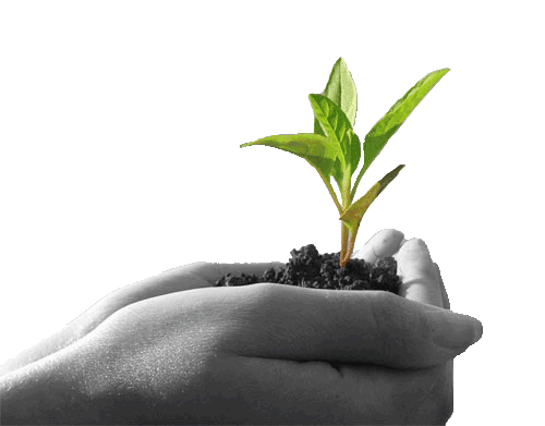 Agriculture Transparent PNG Image