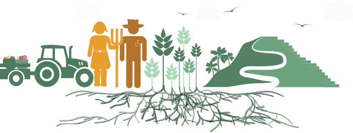 Agriculture High-Quality Transparent PNG Image