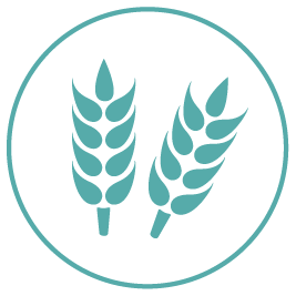Agriculture Transparent PNG Image