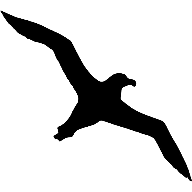 Albatross Background Transparent PNG Image