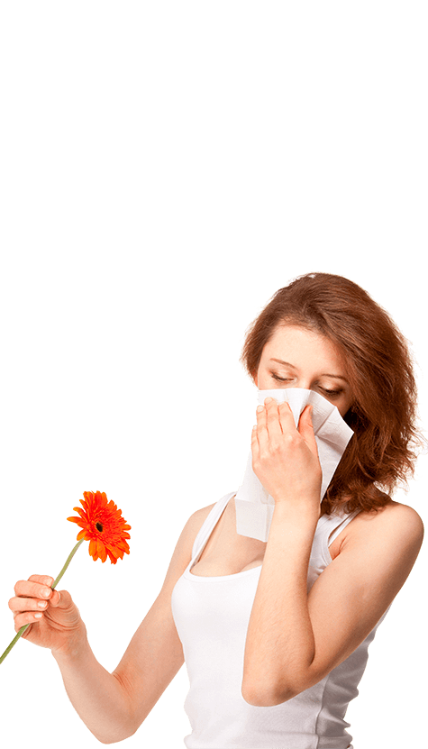 Allergy Transparent PNG Image
