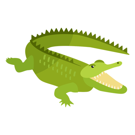 Alligator Vector Transparent PNG Image