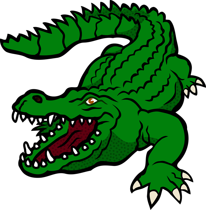 Alligator Vector Transparent PNG Image