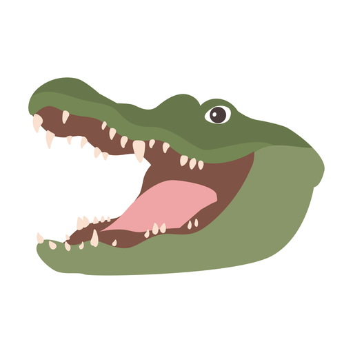 Alligator Vector Transparent PNG Image
