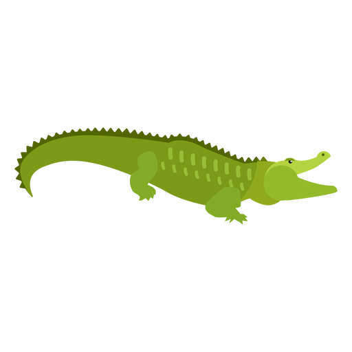 Alligator Vector Transparent PNG Image