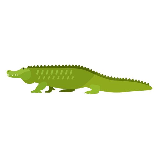 Alligator Vector Transparent PNG Image