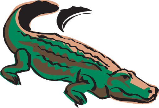 Alligator Vector Transparent PNG Image