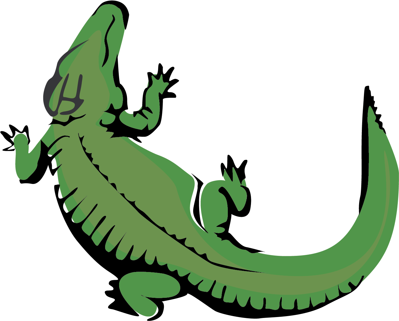 Alligator Vector Transparent PNG Image